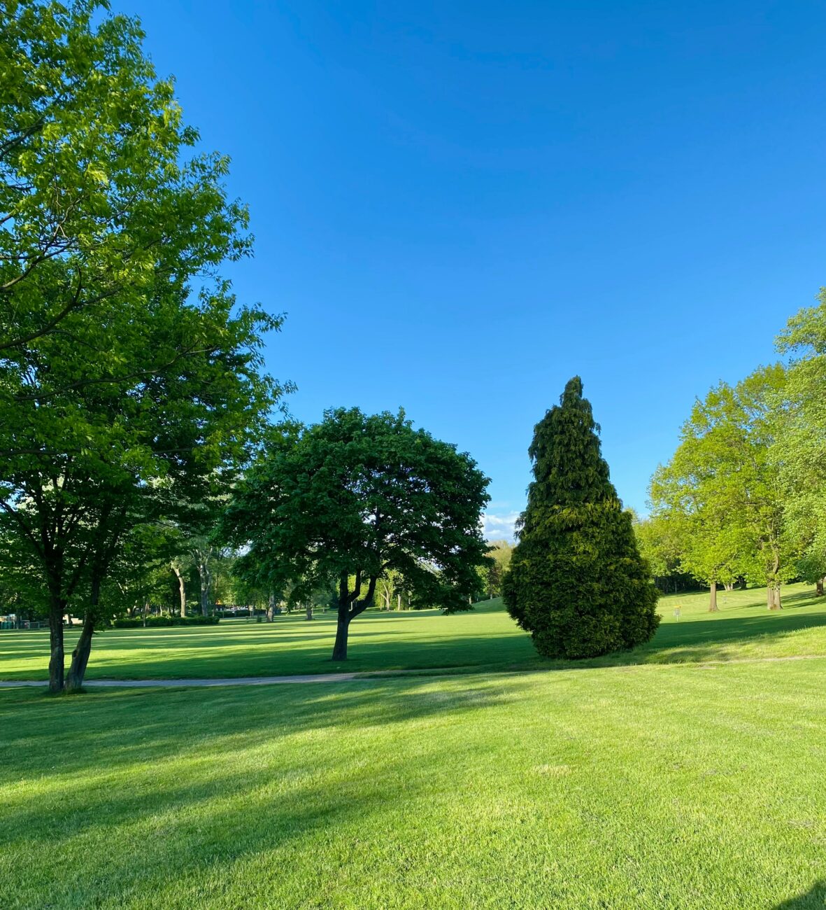 Nous entretenons vos parcs et jardins